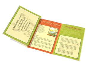 Garden Club - Oregano Herb Self Mailer